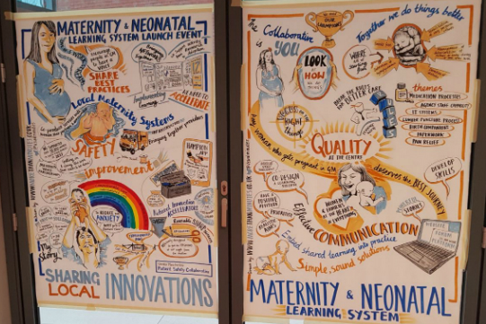 Maternity and Neonatal Launch Event Visual Minutes