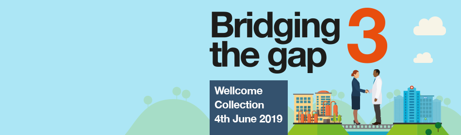 Bridging the Gap 3 Advert