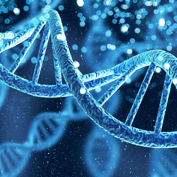 Artist impression of DNA