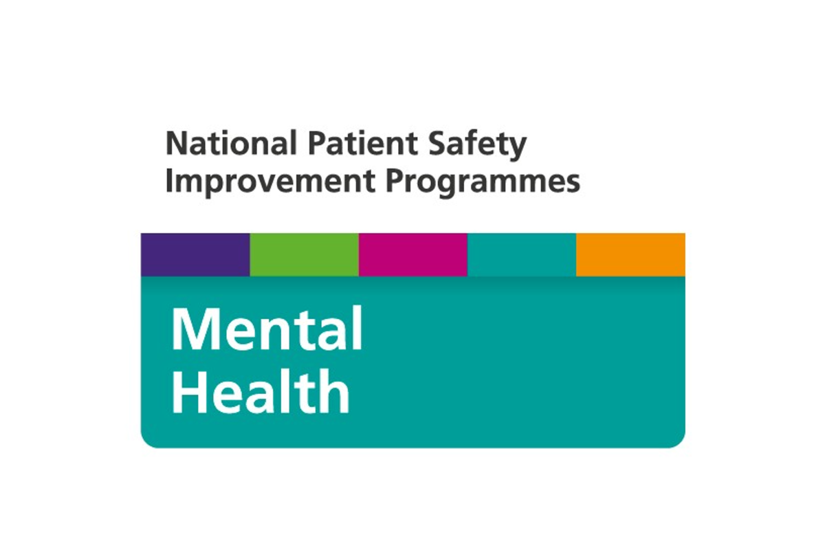 National Patient Safety Improvement Programmes