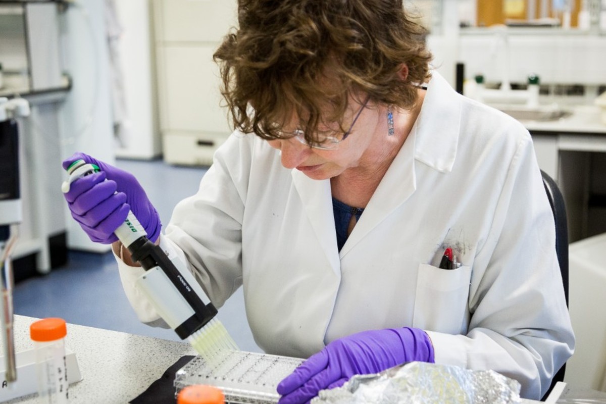 Researcher in laboratory