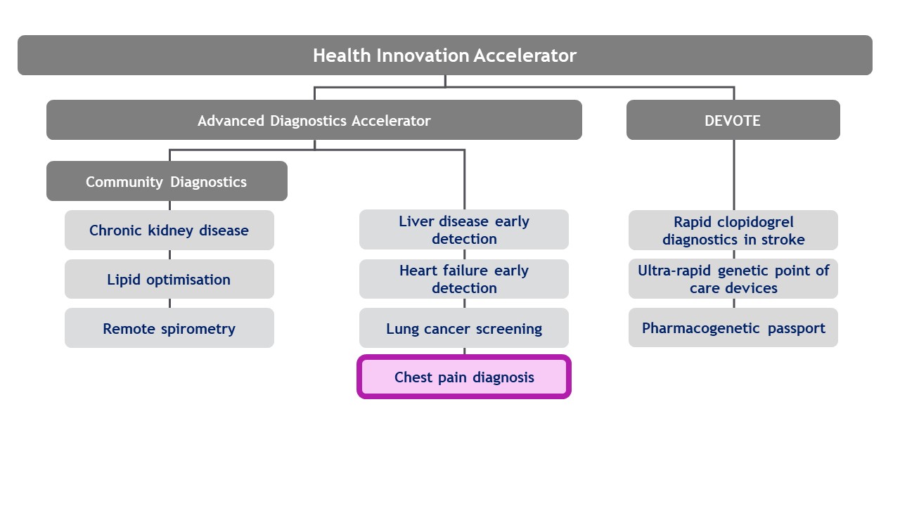 A visual diagram showcasing the breakdown of the Health Innovation Accelerator programme.