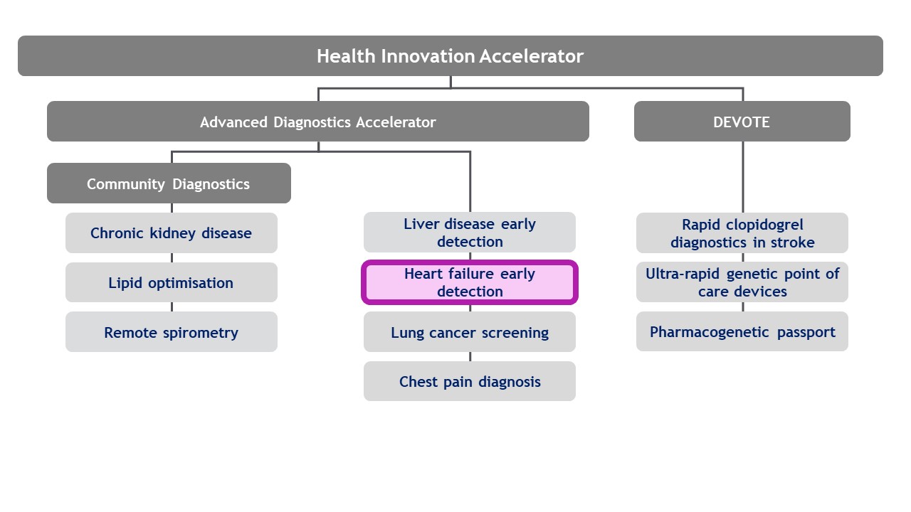 A graph representing the Health Innovation Accelerator.