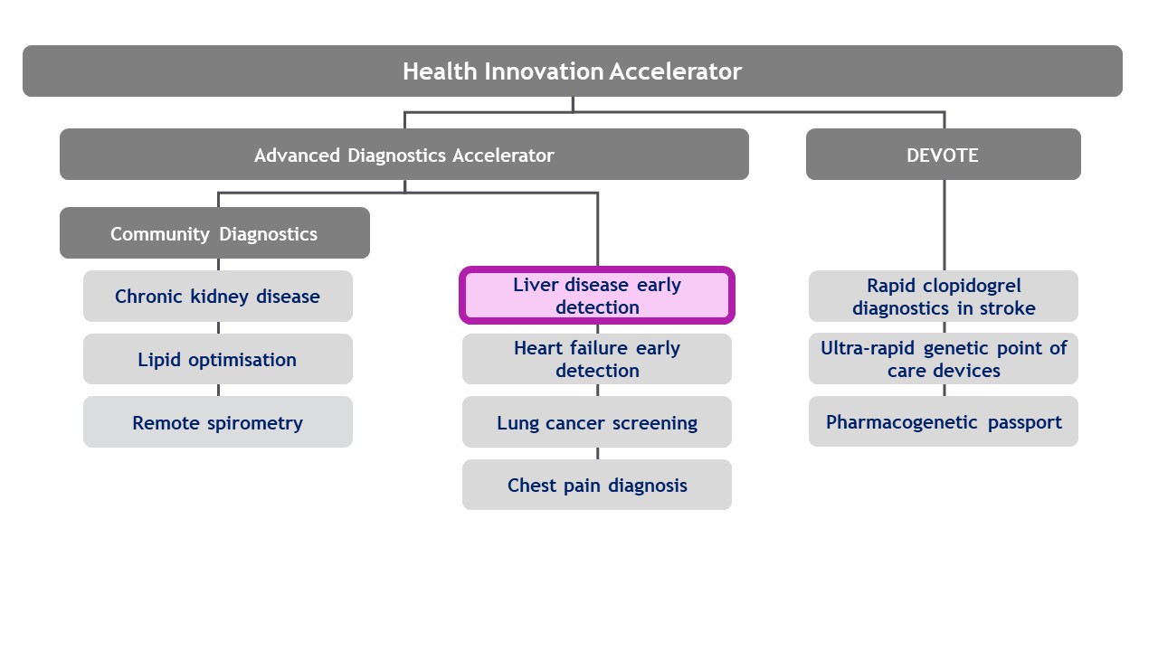 A diagram showing how the Early Detection of Liver Disease project links to the Health Innovation Accelerator.